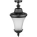 Потолочный светильник уличный ELBA 86405A Bl Oasis Light