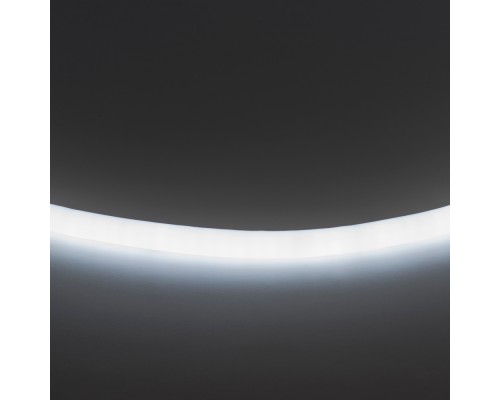 Светодиодная лента Neoled 430204 Lightstar
