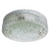 Потолочный светильник Crystal A3420PL-1SS Arte Lamp