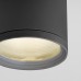 Потолочный светильник уличный Light 35128/H серый Elektrostandard