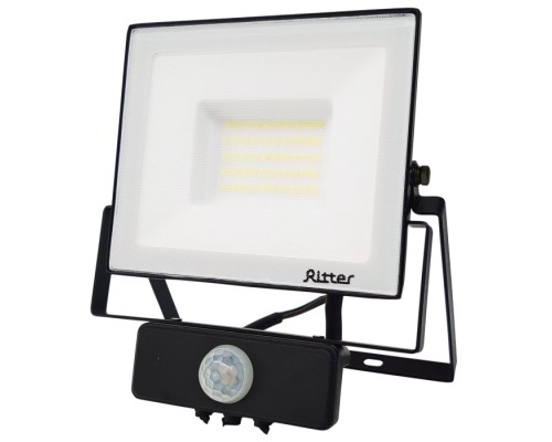 Прожектор уличный PROFI 53422 2 Ritter
