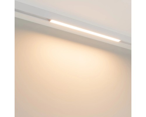 Трековый светильник MAG-25 050057 Arlight