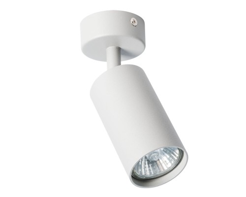 Спот Aquarius A3216PL-1GY Arte Lamp