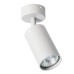 Спот Aquarius A3216PL-1GY Arte Lamp