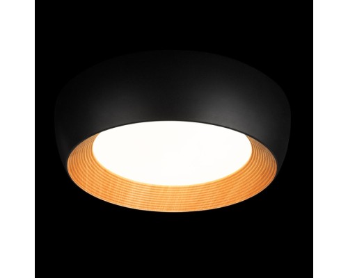 Потолочный светильник Folk 10255/500 Black Loft It