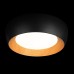 Потолочный светильник Folk 10255/500 Black Loft It
