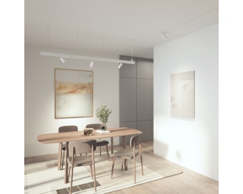 Трековый светильник SIMPLE SPOT DK8220-WH Denkirs