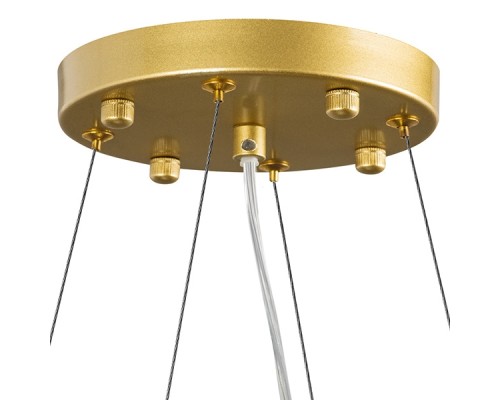 Подвесная люстра Savona 816202 Lightstar