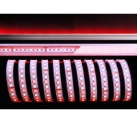 Светодиодная лента SMD5050 840218 Deko-Light