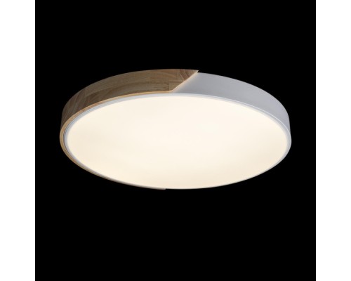 Потолочный светильник Axel 10004/36 White Loft It