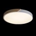 Потолочный светильник Axel 10004/36 White Loft It