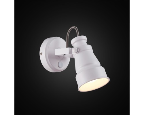 Спот Бейкер CL541510 Citilux