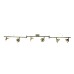 Спот Venerd A6009PL-6AB Arte Lamp