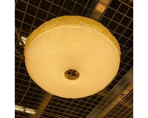 Потолочный светильник Nectar 11324 Cloyd