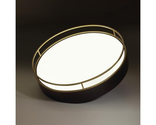 Потолочный светильник Lofty 7723/65L Sonex