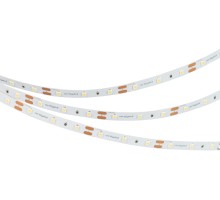Светодиодная лента NT 036156 Arlight