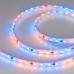 Светодиодная лента SPI герметичная 026365(3) Arlight