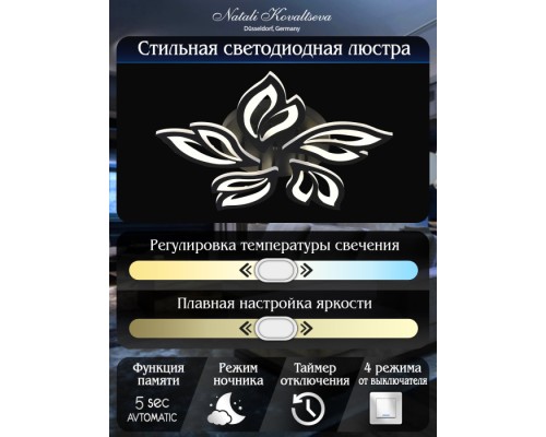 Потолочная люстра High-tech Led Lamps HIGH-TECH LED LAMPS 82006 BLACK Natali Kovaltseva