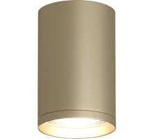 Точечный светильник TUBE DK2050-SG Denkirs