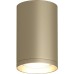 Точечный светильник TUBE DK2050-SG Denkirs