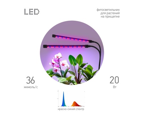 Настольная лампа для растений  FITO-20W-АLED-RB ЭРА