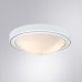 Потолочный светильник James A4049PL-3WH Arte Lamp