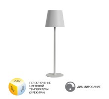 Уличная настольная лампа Fuyue A1614LT-1WH Arte Lamp
