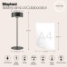 Интерьерная настольная лампа AI Collaboration MOD229TL-L3B3K2 Maytoni