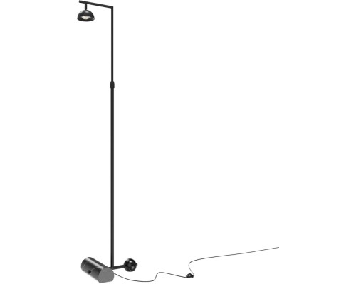 Торшер Pikant MOD372FL-L10B3K Maytoni