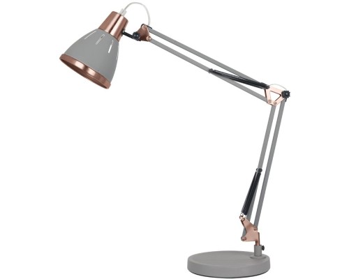 Офисная настольная лампа Pixar A2246LT-1GY Arte Lamp
