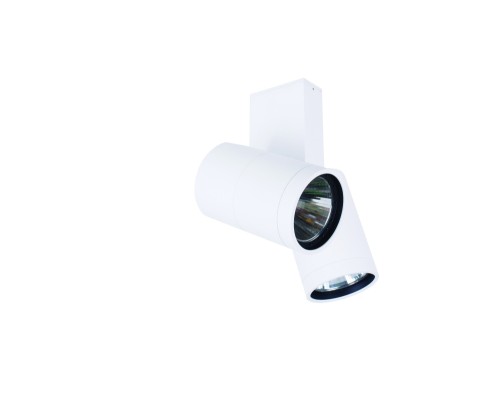 Настенно-потолочный светильник Dl18422 DL18422/12WW-White Donolux