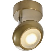 Спот Carissa TL1244Y-01SG TopLight
