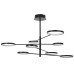 Потолочная люстра Eva MR1220-8CL MyFar