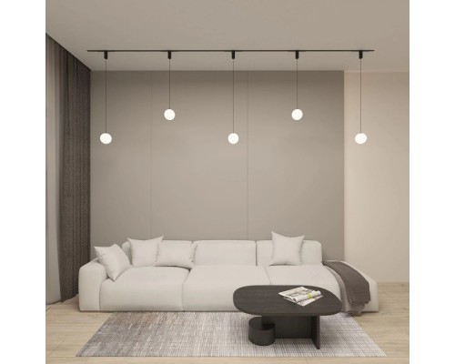 Трековый светильник SMART MOON DK8052-BK Denkirs