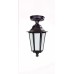 Потолочный светильник уличный PETERSBURG S 79805SA Bl Oasis Light