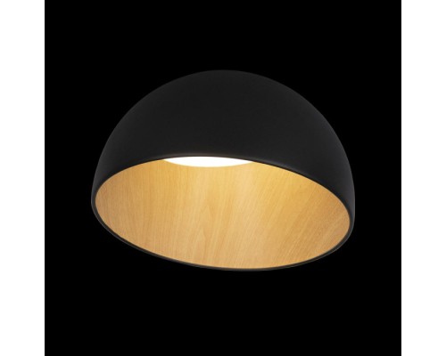 Потолочный светильник Egg 10197/350 Black Loft It