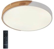 Потолочный светильник Scandinavian LED LAMPS 81182 Natali Kovaltseva