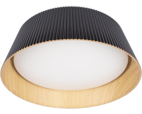 Потолочный светильник Evans 10224 Black Loft It