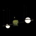 Подвесной светильник Jardin 10121/D Loft It