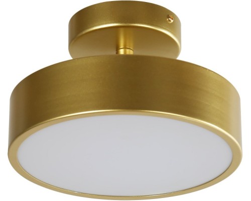 Потолочный светильник Atma 3059-2P F-Promo