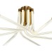 Потолочная люстра Lora ZRS.57784.08 Zortes