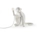Интерьерная настольная лампа Monkey Lamp 14882 Seletti