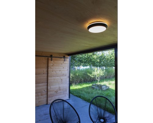 Потолочный светильник уличный SIDNEY LED W2058 Bl Oasis Light