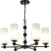 Подвесная люстра SL2003 SL2003.403.06 ST Luce