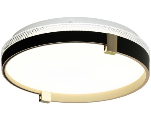 Настенно-потолочный светильник Olidi Black 7647/CL Sonex