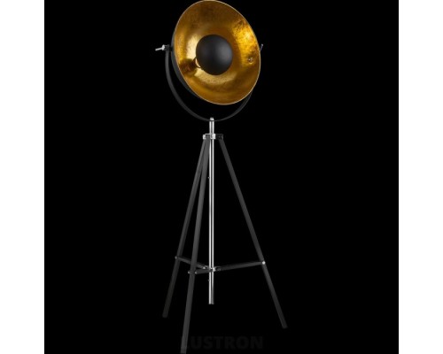 Торшер Xirena 58286 Globo