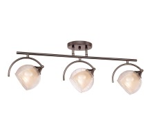 Потолочная люстра Sfera 255.59.3 Silver Light