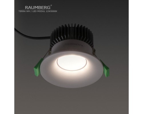 Точечный светильник Terra Terra\Wh\12W3000K Raumberg