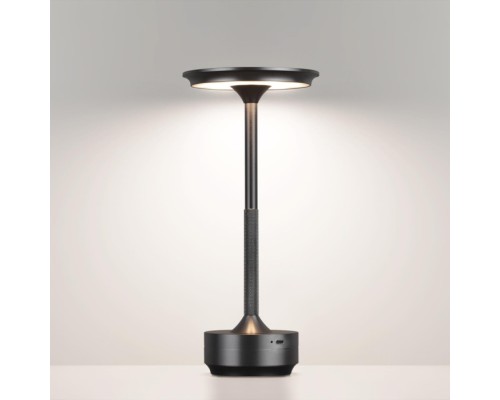Интерьерная настольная лампа Tet-A-Tet 5034/6TL Odeon Light
