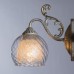 Бра Charlotte A7062AP-1WG Arte Lamp